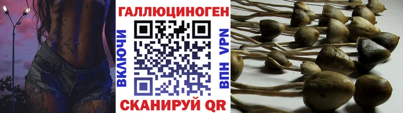 Галлюциногенные грибы ЛСД  ОМГ ОМГ ссылки  Судак  цена наркотик 